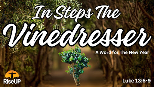 In Steps The Vinedresser